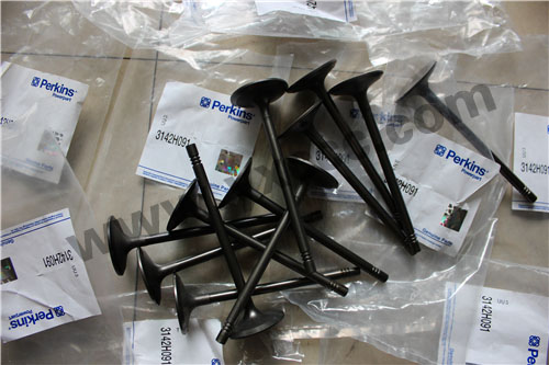珀金斯Perkins 1106A柴油機(jī)配件汽缸蓋、氣門、導(dǎo)管1106