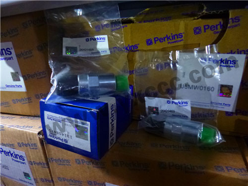 1206E柴油機T410145柴油燃油泵、溫度感應傳感器、燃料過濾器(1206E)